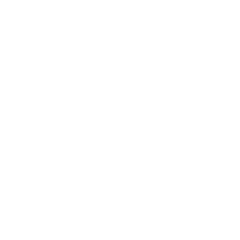 Expanding Wilds Slots